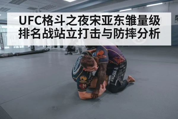 UFC格斗之夜宋亚东雏量级排名战站立打击与防摔分析